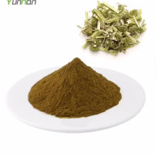 Motherwort Herb Extract Motherwort Extract Powder